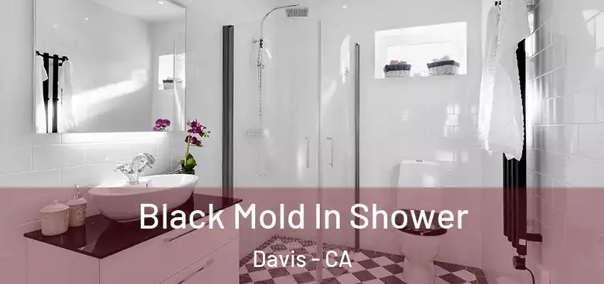  Black Mold In Shower Davis - CA