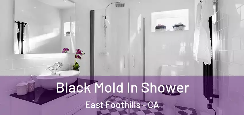  Black Mold In Shower East Foothills - CA