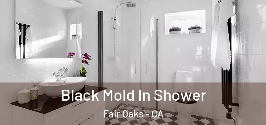  Black Mold In Shower Fair Oaks - CA