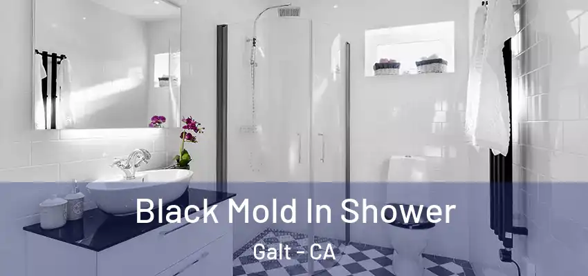  Black Mold In Shower Galt - CA