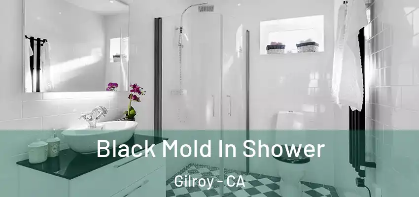 Black Mold In Shower Gilroy - CA