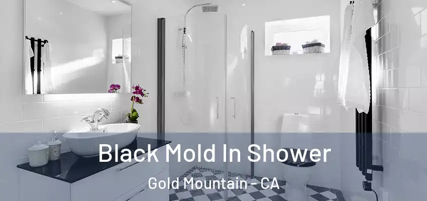  Black Mold In Shower Gold Mountain - CA