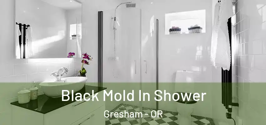  Black Mold In Shower Gresham - OR