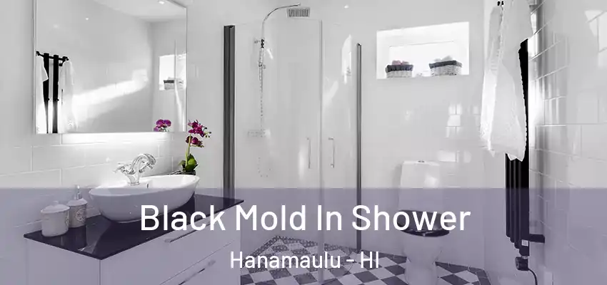  Black Mold In Shower Hanamaulu - HI