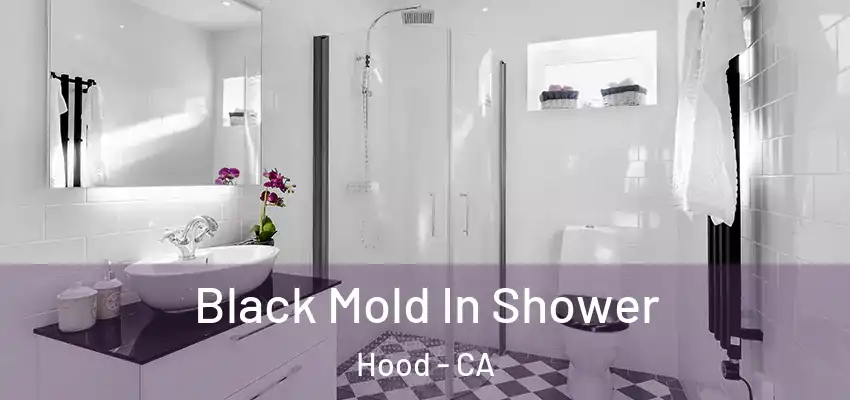  Black Mold In Shower Hood - CA