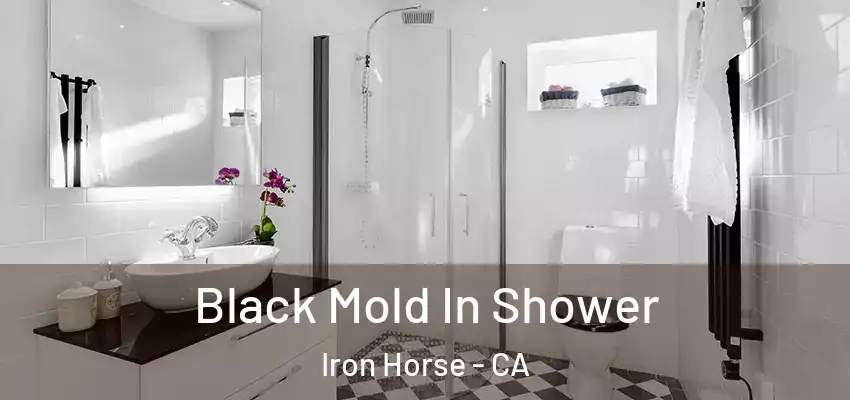  Black Mold In Shower Iron Horse - CA