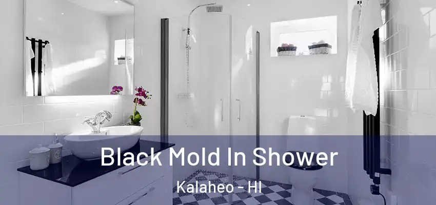  Black Mold In Shower Kalaheo - HI