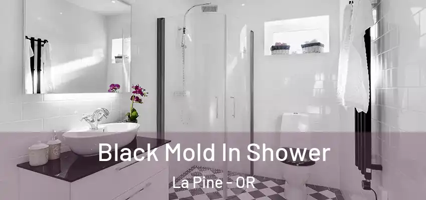  Black Mold In Shower La Pine - OR