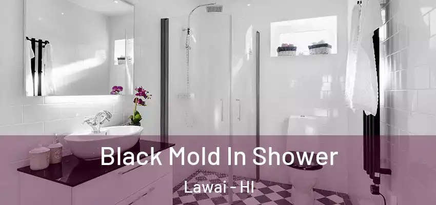  Black Mold In Shower Lawai - HI