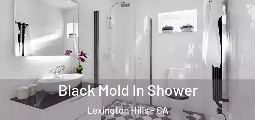 Black Mold In Shower Lexington Hills - CA