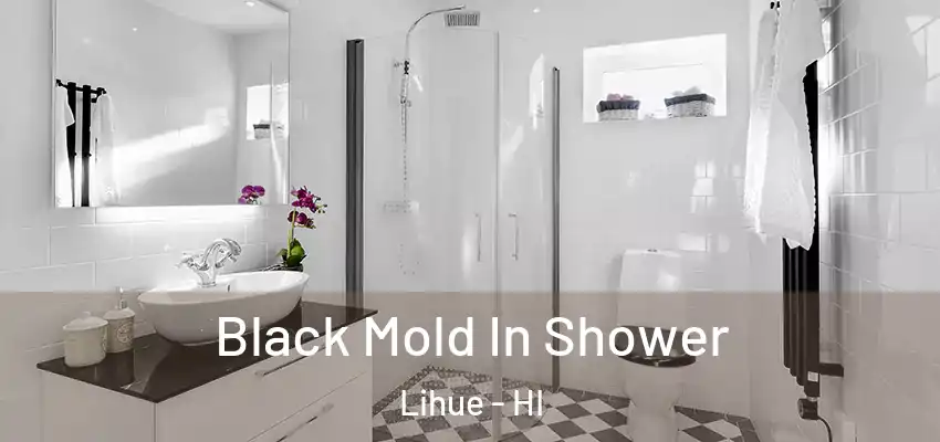  Black Mold In Shower Lihue - HI