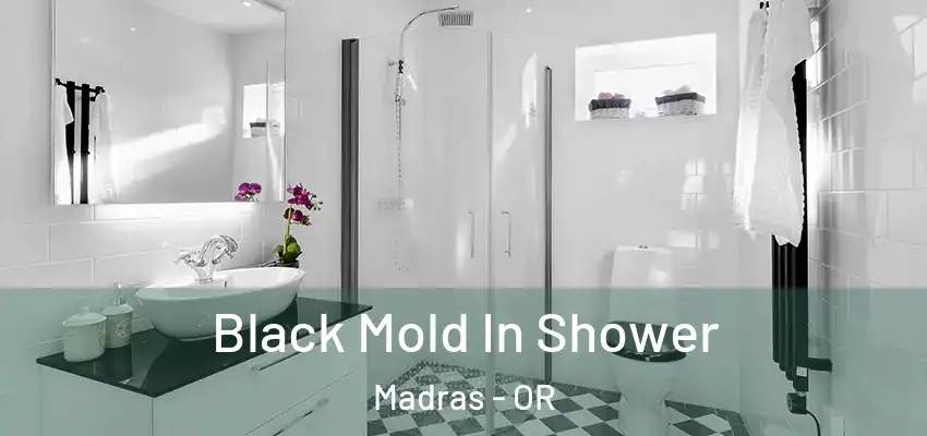  Black Mold In Shower Madras - OR