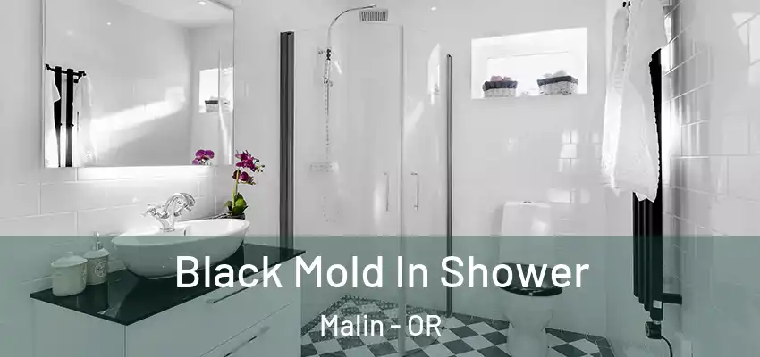  Black Mold In Shower Malin - OR