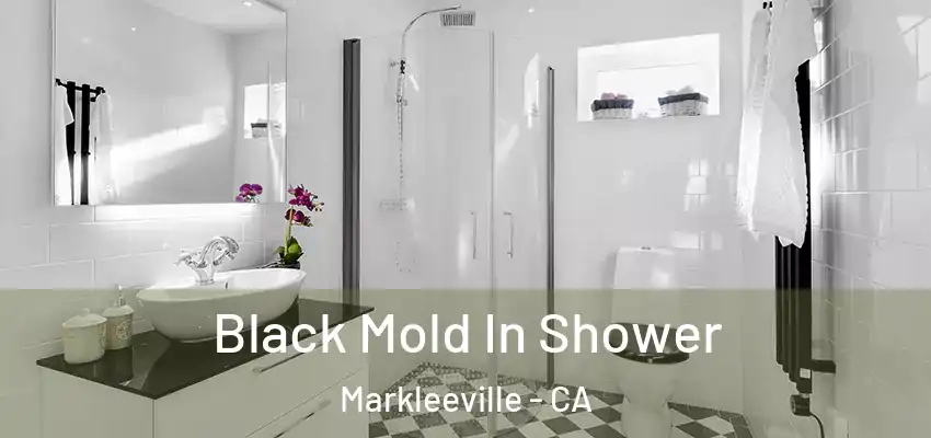  Black Mold In Shower Markleeville - CA