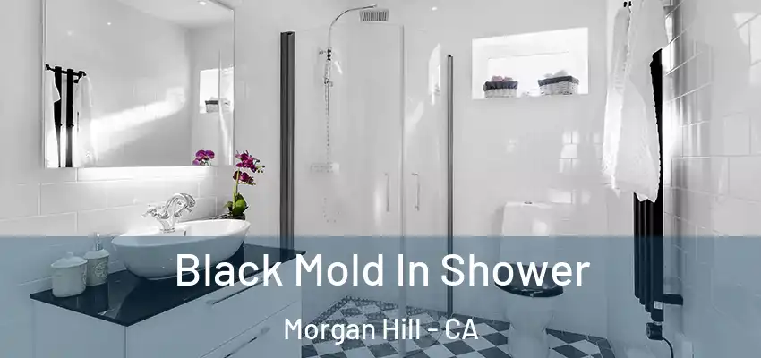  Black Mold In Shower Morgan Hill - CA