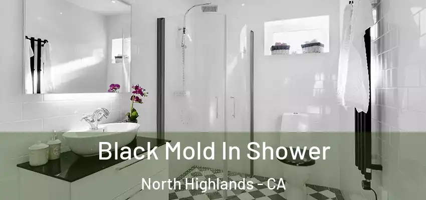  Black Mold In Shower North Highlands - CA