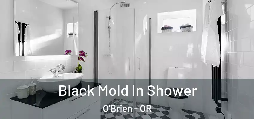  Black Mold In Shower O'Brien - OR