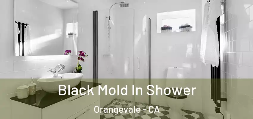  Black Mold In Shower Orangevale - CA
