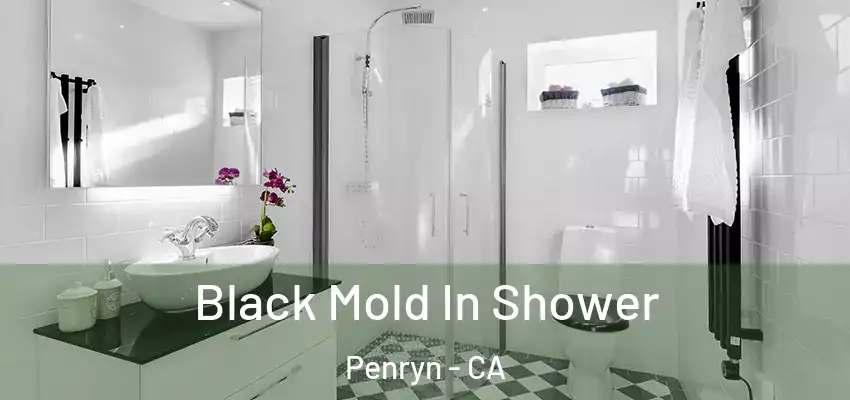  Black Mold In Shower Penryn - CA