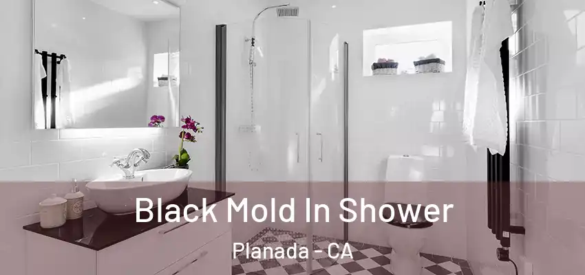  Black Mold In Shower Planada - CA