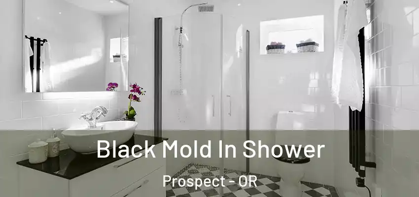 Black Mold In Shower Prospect - OR