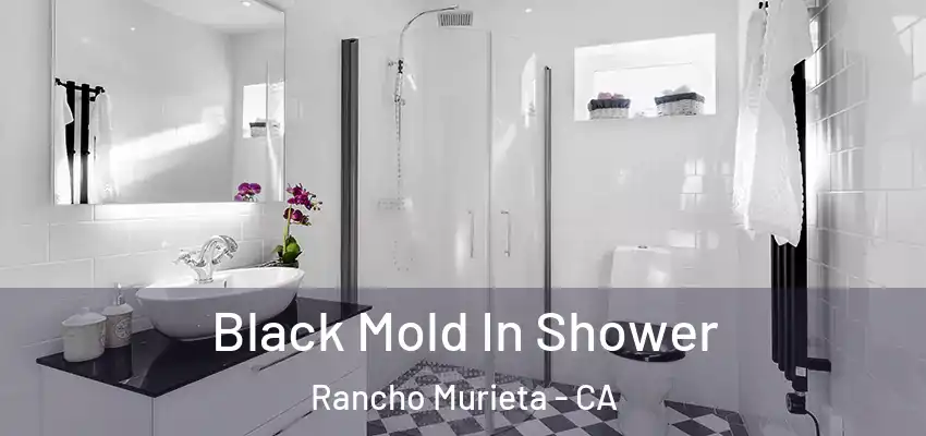 Black Mold In Shower Rancho Murieta - CA