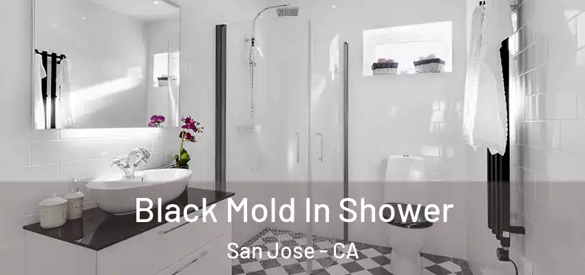  Black Mold In Shower San Jose - CA