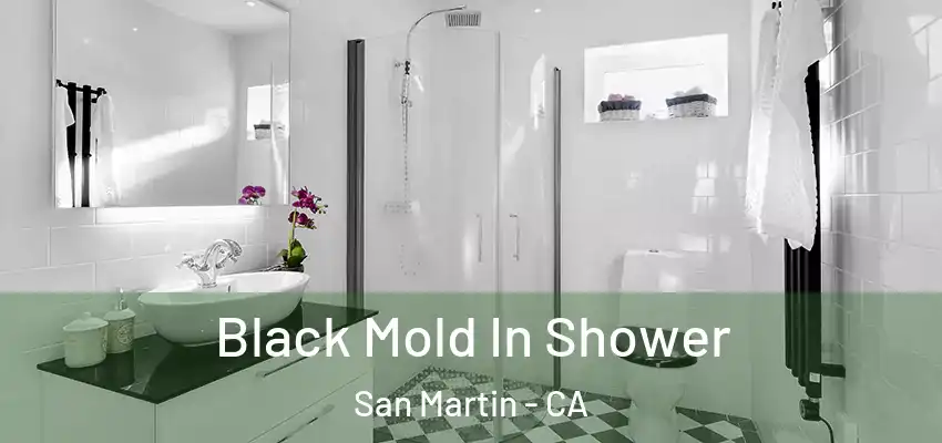  Black Mold In Shower San Martin - CA