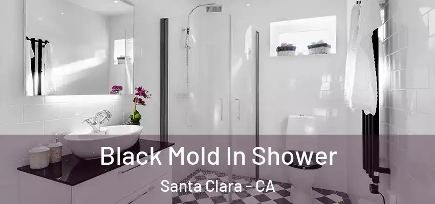  Black Mold In Shower Santa Clara - CA