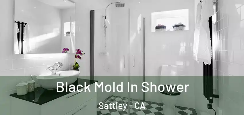Black Mold In Shower Sattley - CA