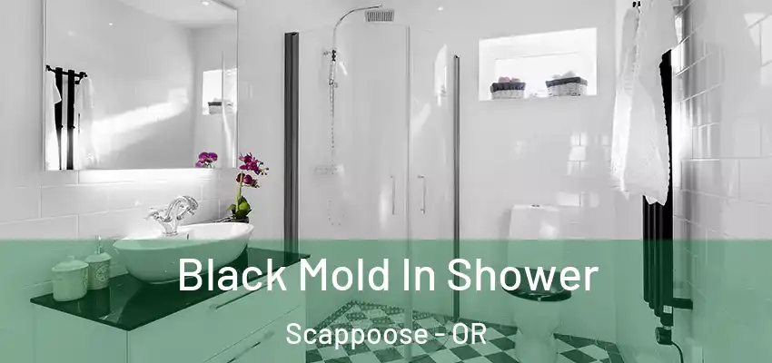 Black Mold In Shower Scappoose - OR