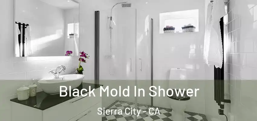  Black Mold In Shower Sierra City - CA