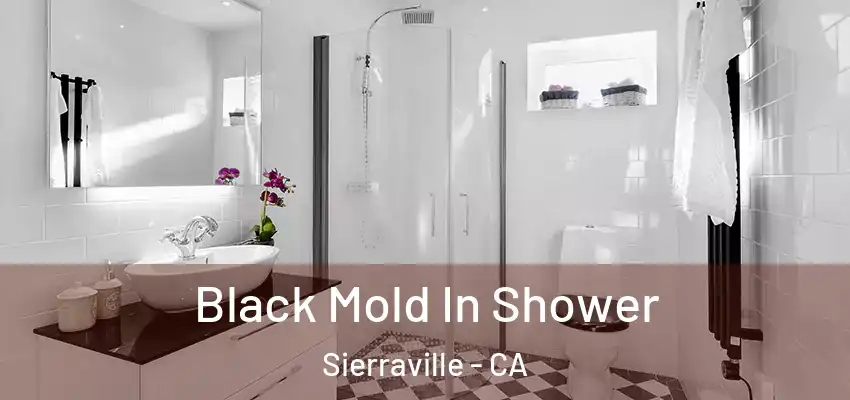  Black Mold In Shower Sierraville - CA