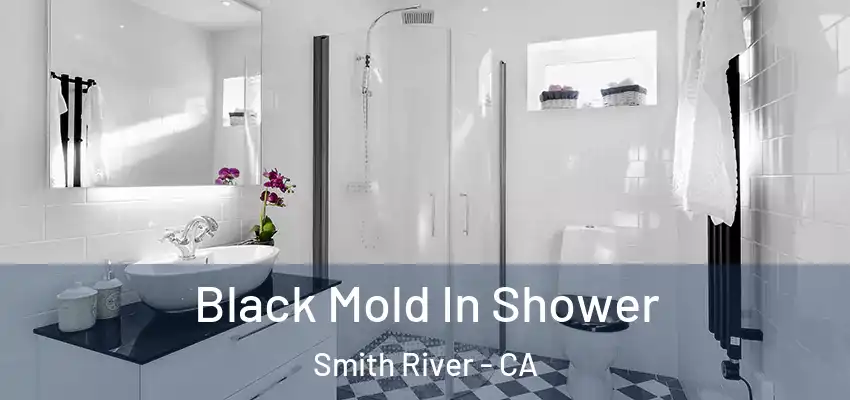  Black Mold In Shower Smith River - CA