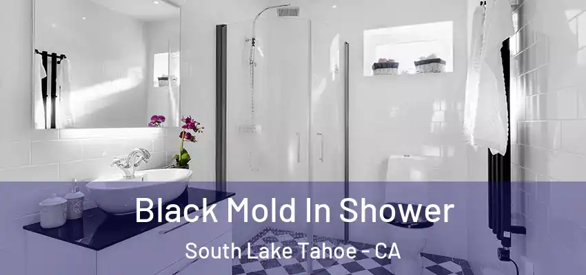  Black Mold In Shower South Lake Tahoe - CA