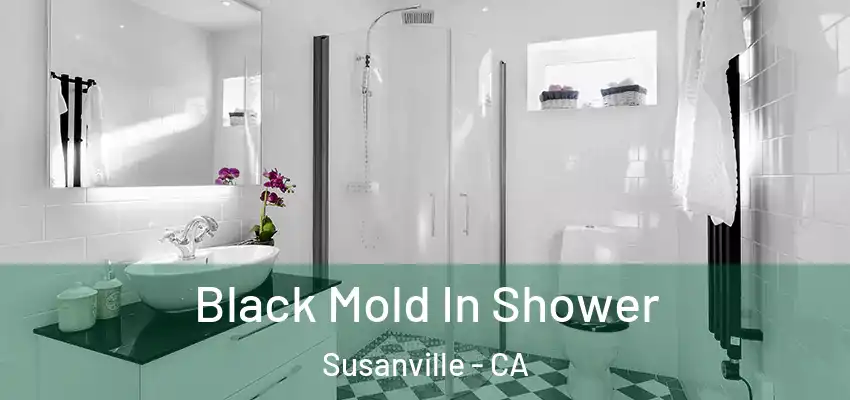  Black Mold In Shower Susanville - CA