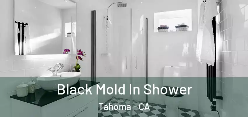  Black Mold In Shower Tahoma - CA