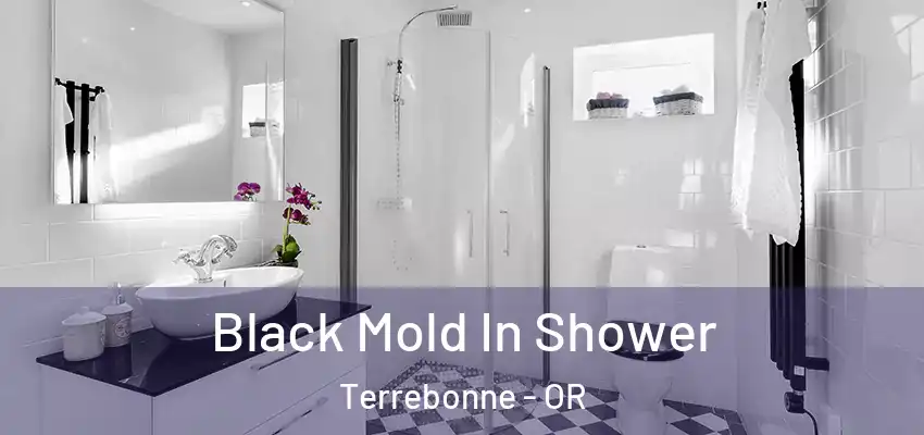  Black Mold In Shower Terrebonne - OR