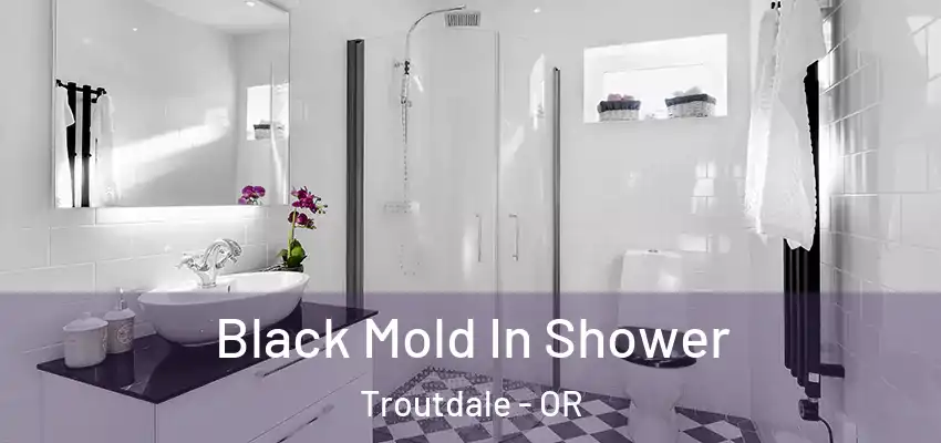  Black Mold In Shower Troutdale - OR