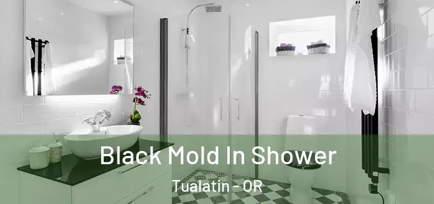  Black Mold In Shower Tualatin - OR