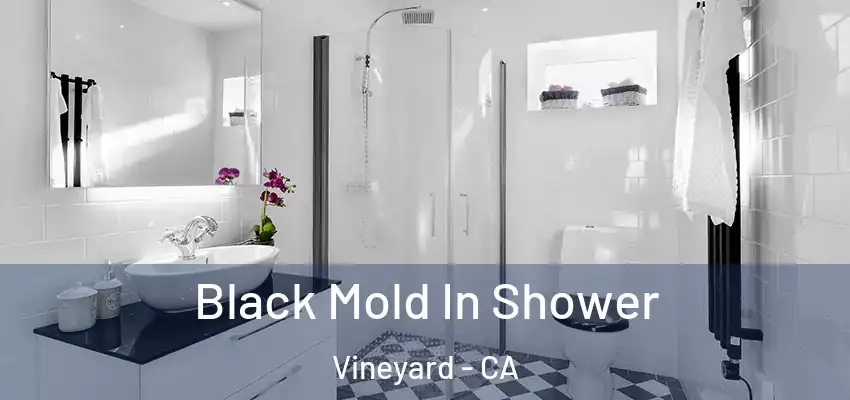 Black Mold In Shower Vineyard - CA