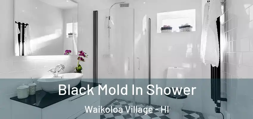  Black Mold In Shower Waikoloa Village - HI