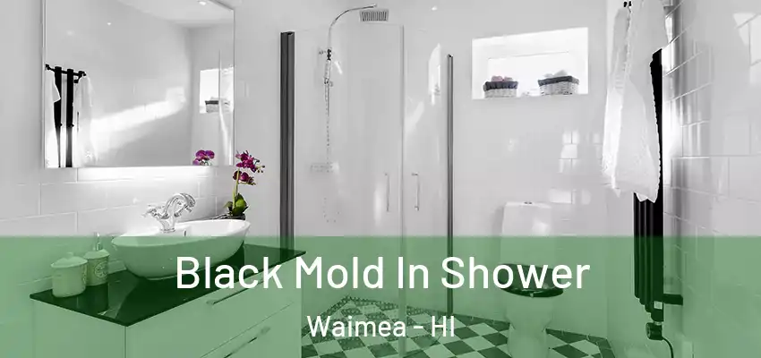  Black Mold In Shower Waimea - HI