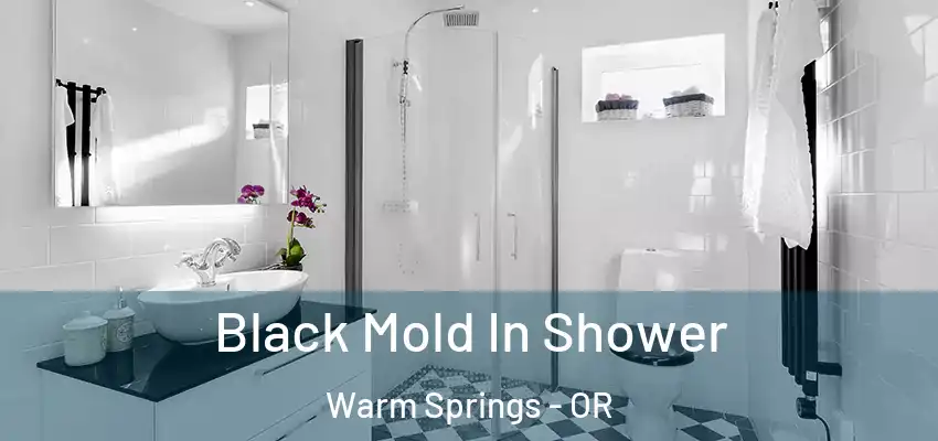  Black Mold In Shower Warm Springs - OR