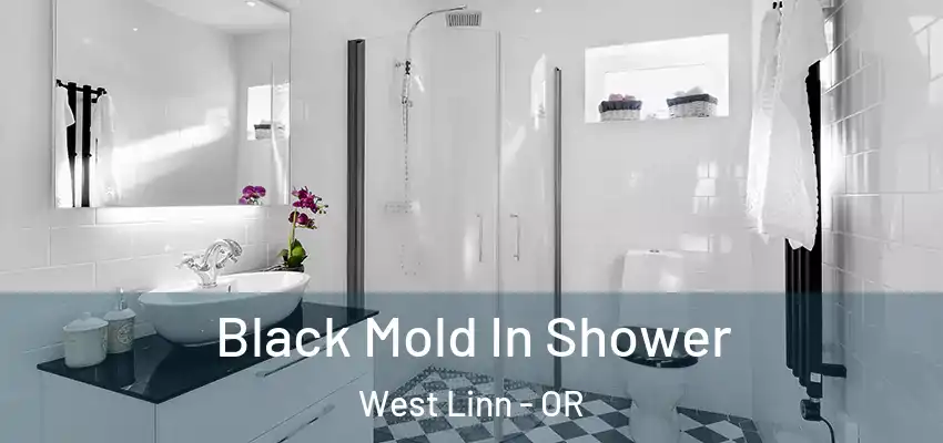  Black Mold In Shower West Linn - OR