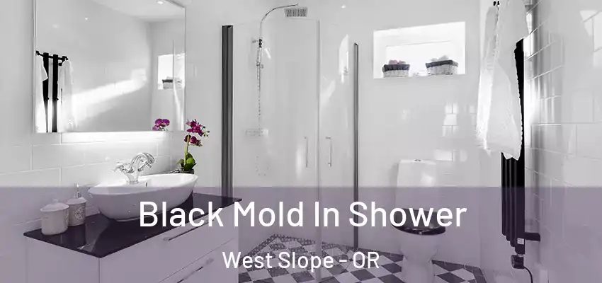  Black Mold In Shower West Slope - OR