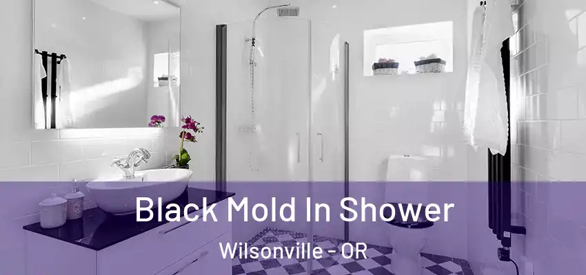 Black Mold In Shower Wilsonville - OR