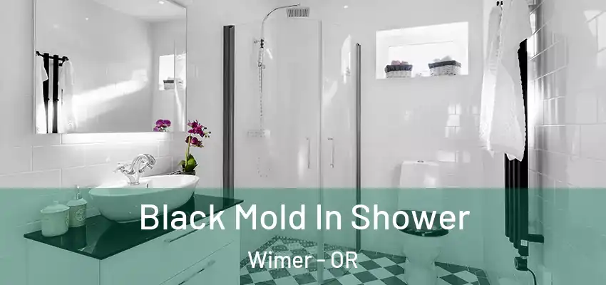 Black Mold In Shower Wimer - OR