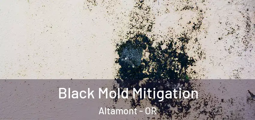Black Mold Mitigation Altamont - OR