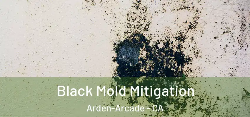 Black Mold Mitigation Arden-Arcade - CA